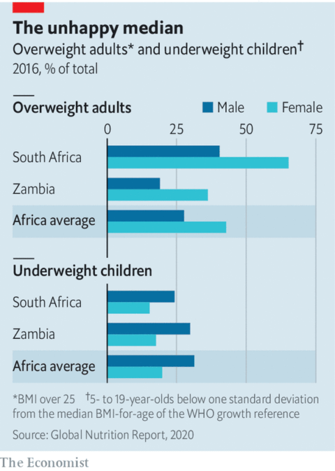 Why Obesity Is Spreading Across Africa Godfrey Times