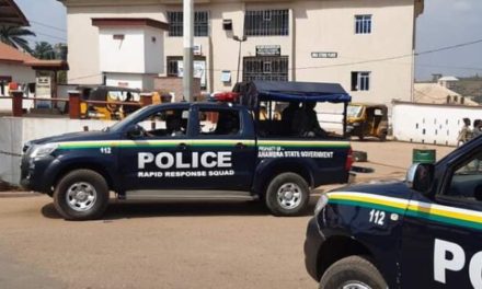 <em>Nigeria approves N4bn for fuelling of police vehicles — ‘first time in history of the force’</em></strong>