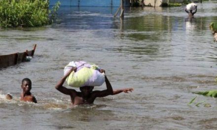 <em>INSIGHT: How climate change fuels cholera outbreaks in Nigeria</em></strong>