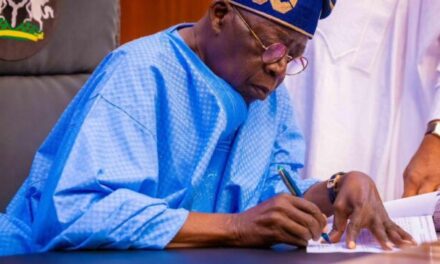 <em>Nigerians can sue. Tinubu signs data protection law. </em></strong>